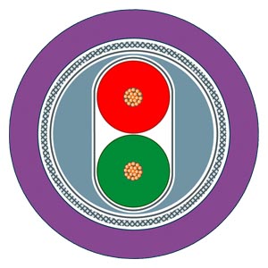 SIEMENS PROFIBUS FC FLEXIBLE CABLE GP, 2-WIRE, SHIELDED. Made In Germany.